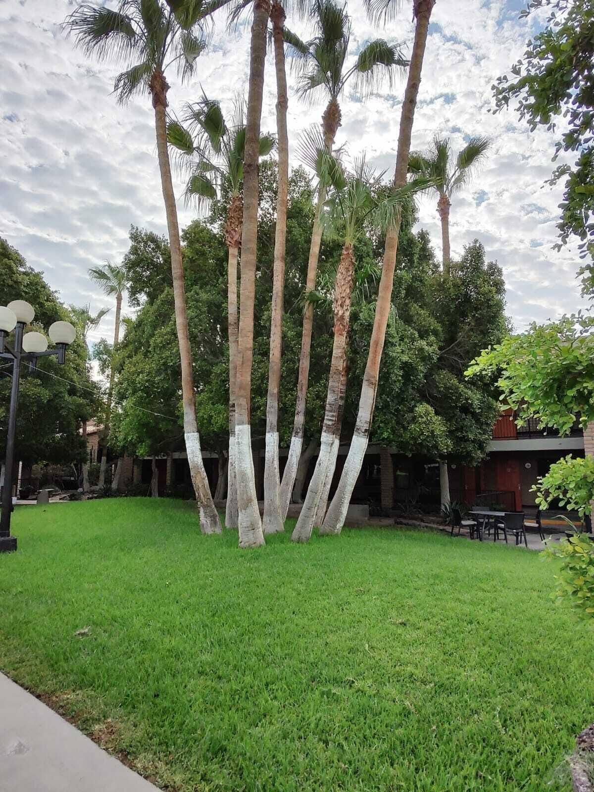 Hotel Colonial Mexicali Dış mekan fotoğraf